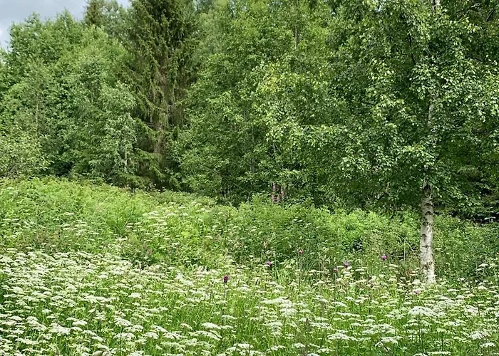 Landlige Peru * Sjusjøen